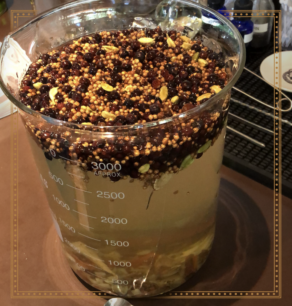 embeber-e-ferver-os-botânicos