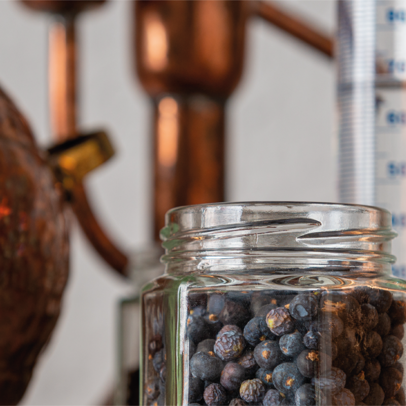 Southwest Gin School